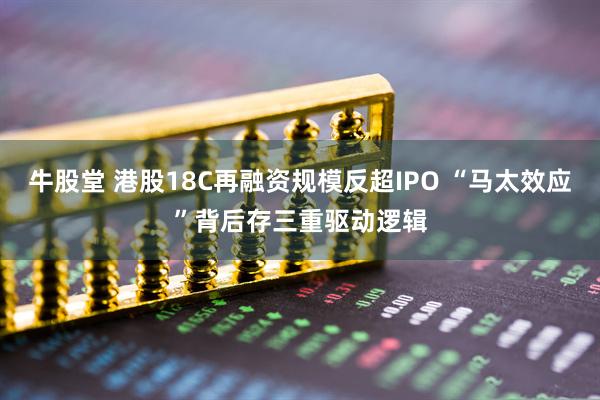 牛股堂 港股18C再融资规模反超IPO “马太效应”背后存三重驱动逻辑